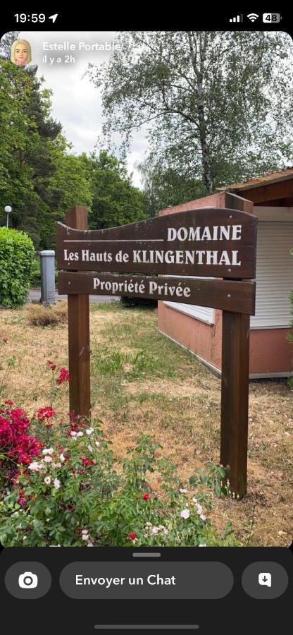 Gite Au Nid De L'Ecureuil Boersch Eksteriør bilde